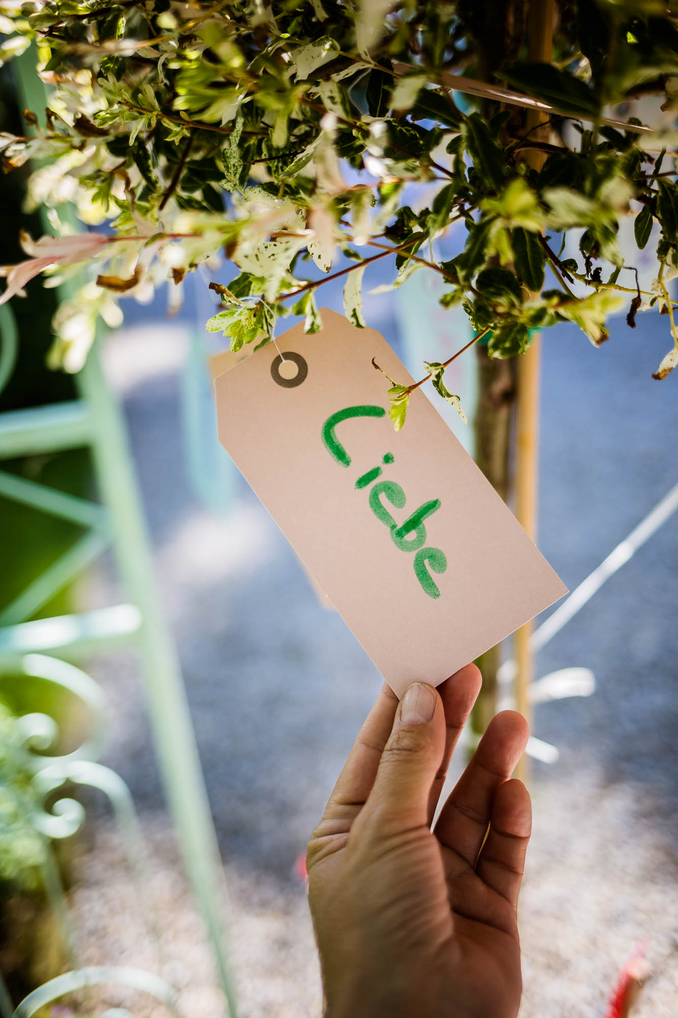 Export x3 5D4 0186 Hochzeit 2020 Claudia & Marco